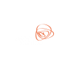 Light & Motion