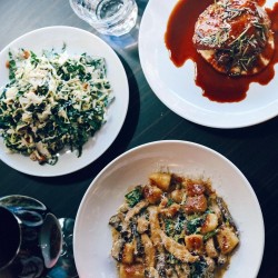 Bistro Rex Bistro Rex