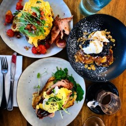 Hangout on Hay Hangout on Hay