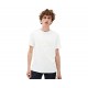 Lacoste Classic Graphic Big Croc Tee Mens - Flour